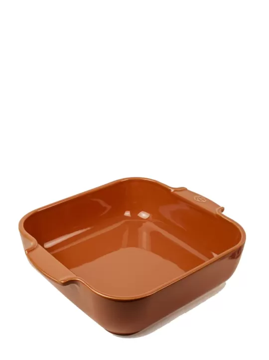 Peugeot Saveurs Auflaufformen^Appolia Terracotta