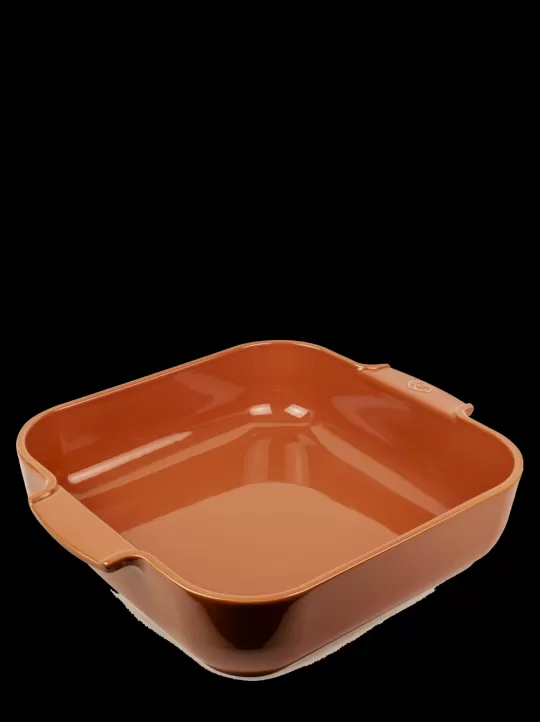 Peugeot Saveurs Auflaufformen^Appolia Terracotta