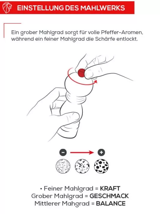 Peugeot Saveurs Salzmühlen^Line Graphit & alu